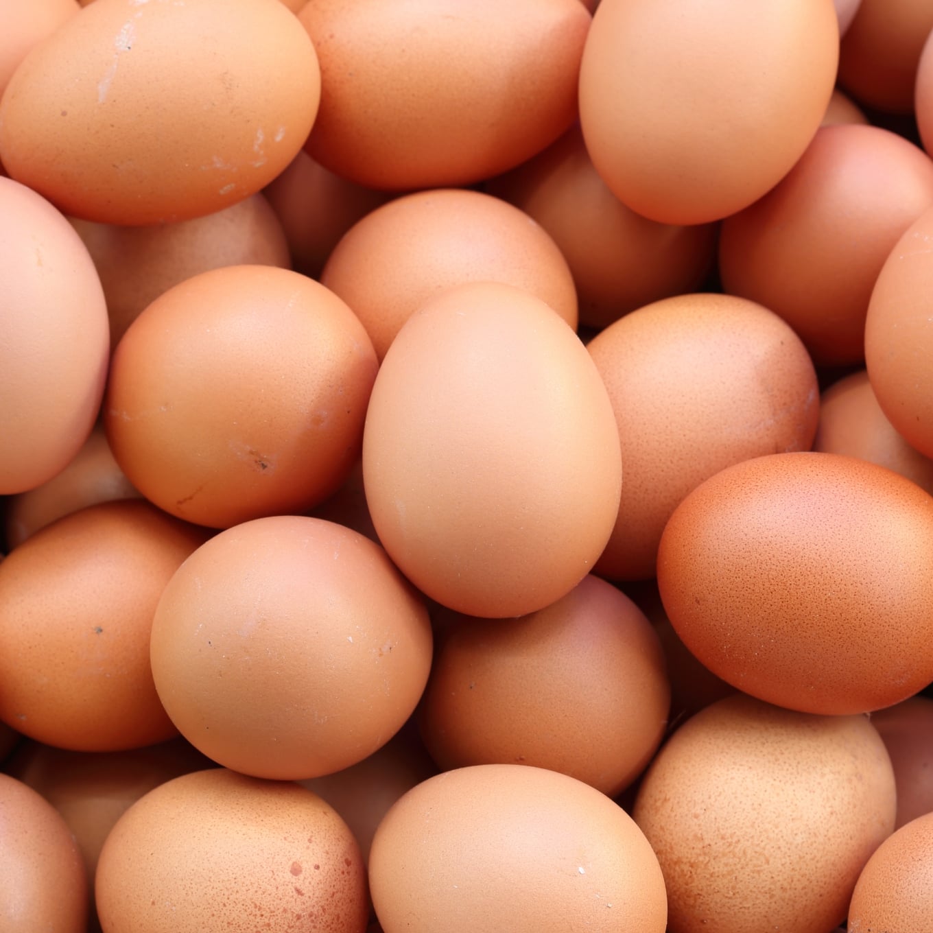 Oeufs