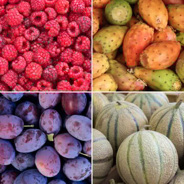 Panier de fruits de saison