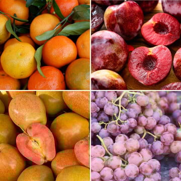 Panier de fruits de saison