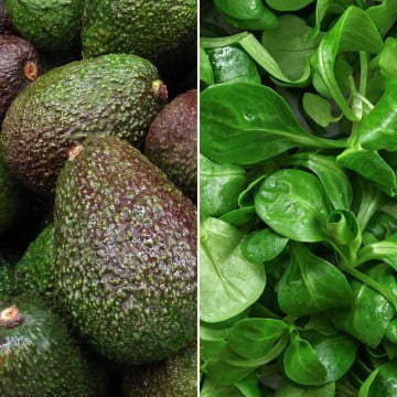 Avocat & mâche