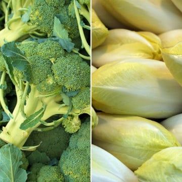 Brocoli et endives Brocoli et endives