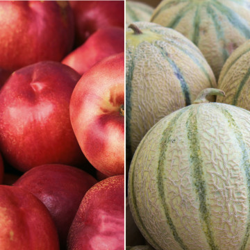 Nectavignes et melon