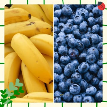 Myrtilles et bananes