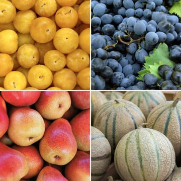 Panier de fruits de saison