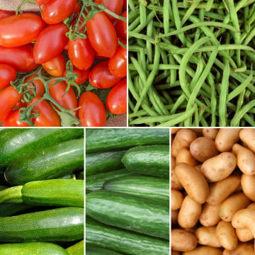 Panier de légumes de saison