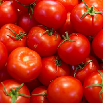 Tomates rondes