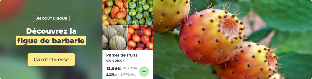 Panier de fruits de saison