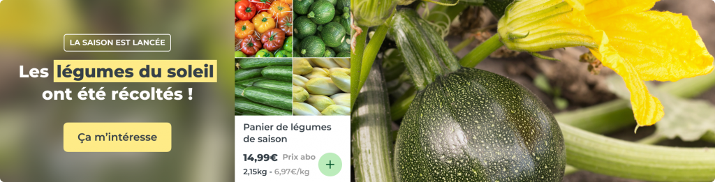 Panier de légumes de saison