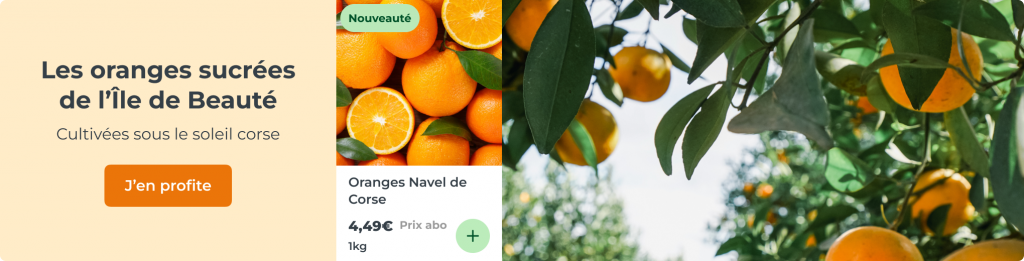 Les oranges sucrées de l’Île de Beauté