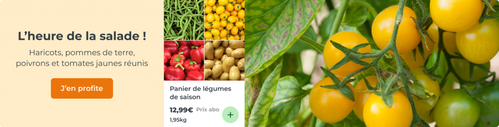 Panier de légumes de saison