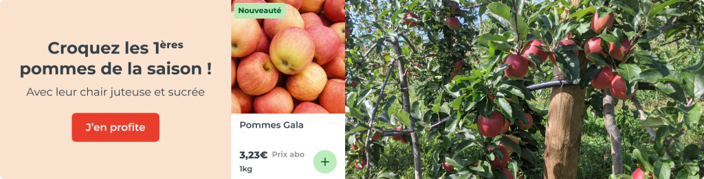 Pommes Gala
