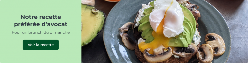 Notre recette préférée d’avocat