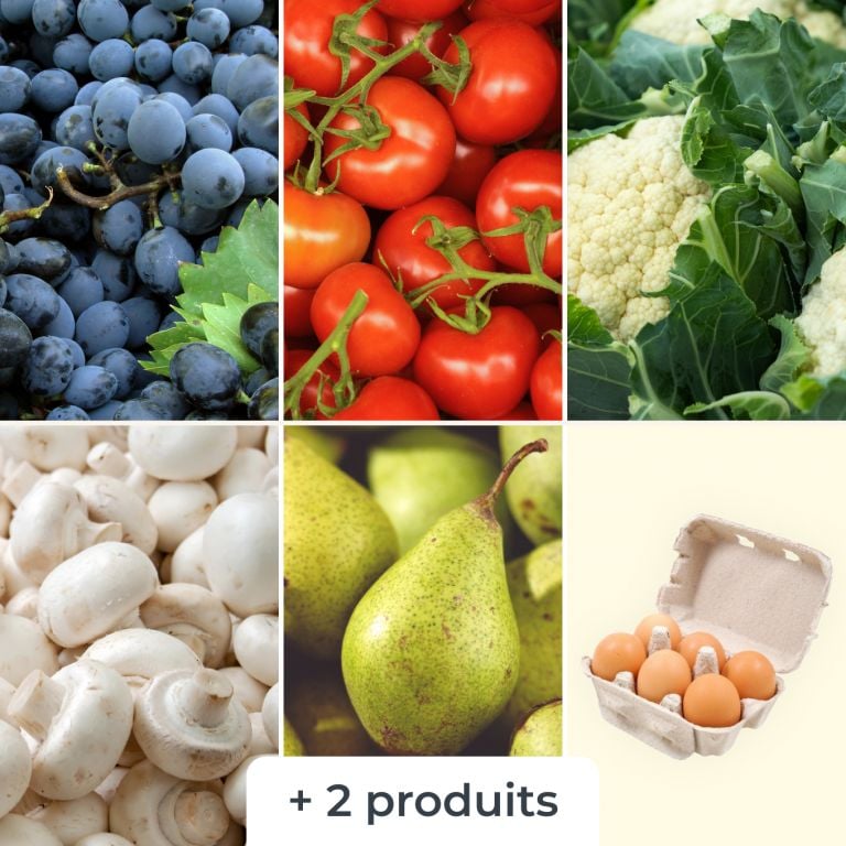 Mélange de fruits & légumes (+6 oeufs bio)