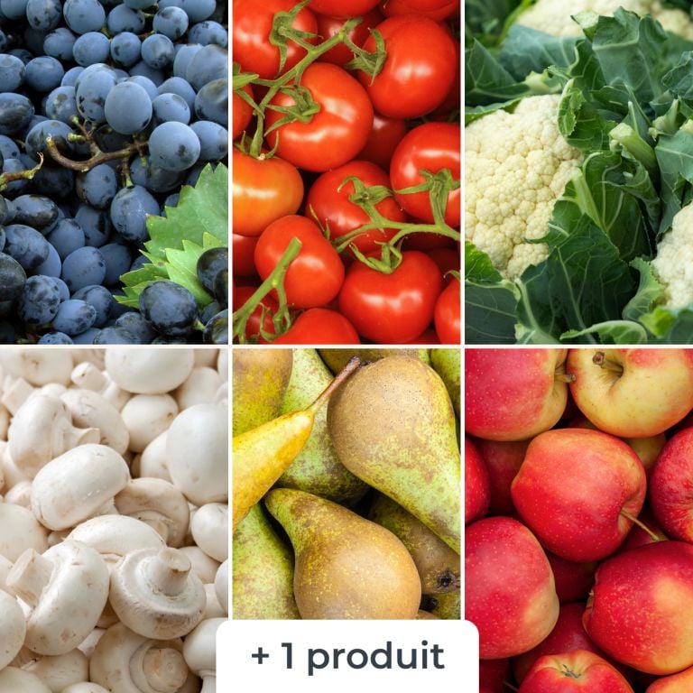 Mélange de fruits & légumes