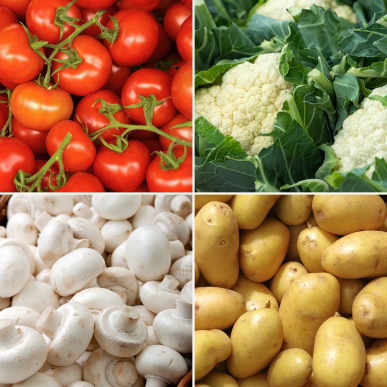 Petit mélange de légumes