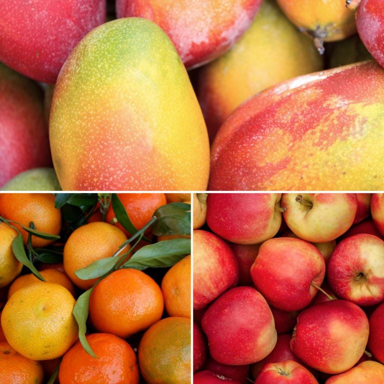 Petit mélange de fruits