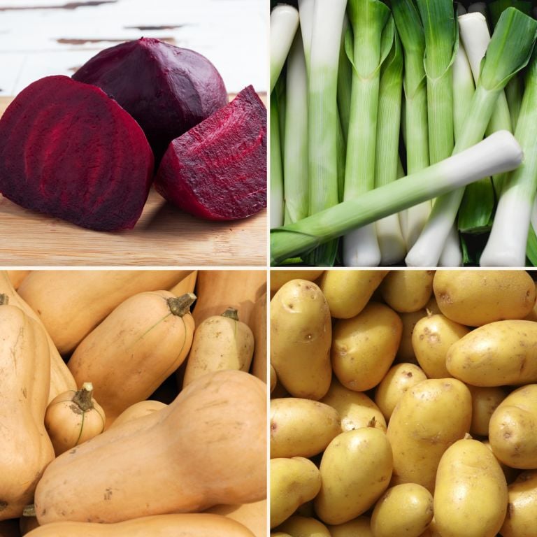 Petit mélange de légumes