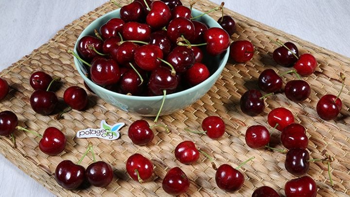 Framboises, cerises & bananes